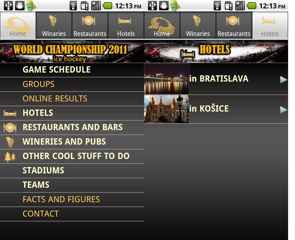 World Championship 2011 Ice Hockey Lite