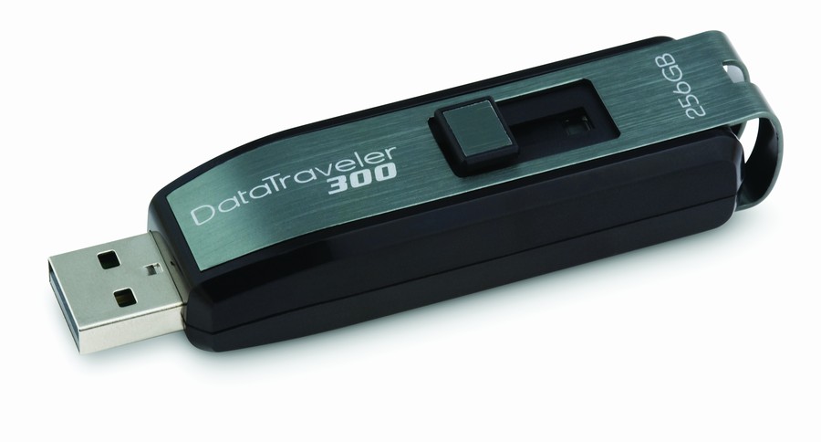 Kingston DataTraveler 300 256 GB
