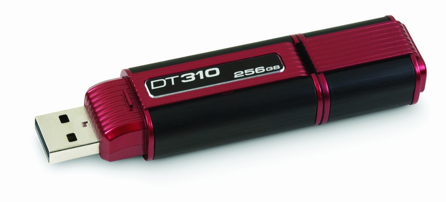 Kingston DataTraveler 310 256 GB 2