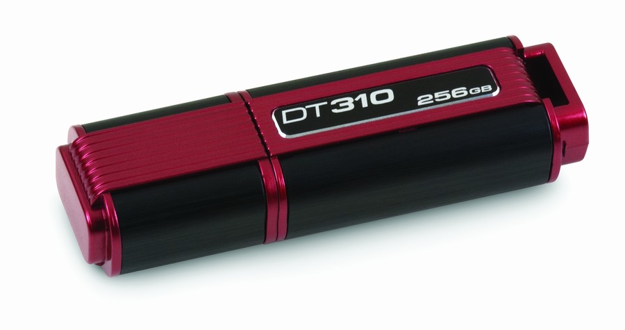 Kingston DataTraveler 310 256 GB