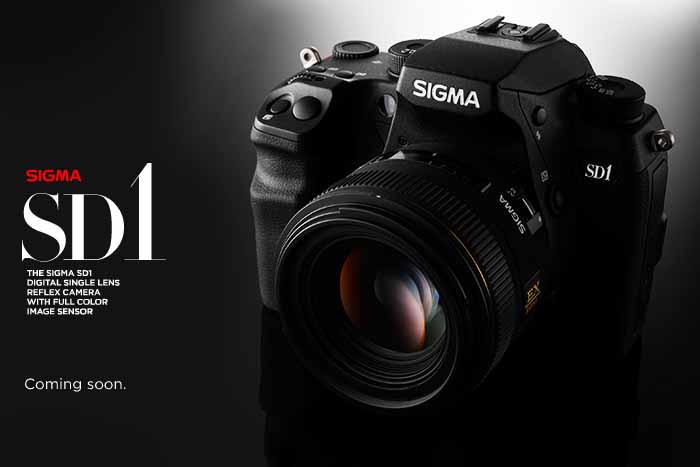 Sigma SD1