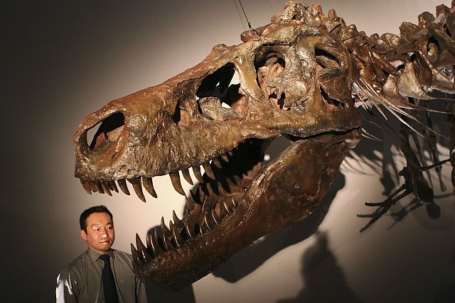 T-REX