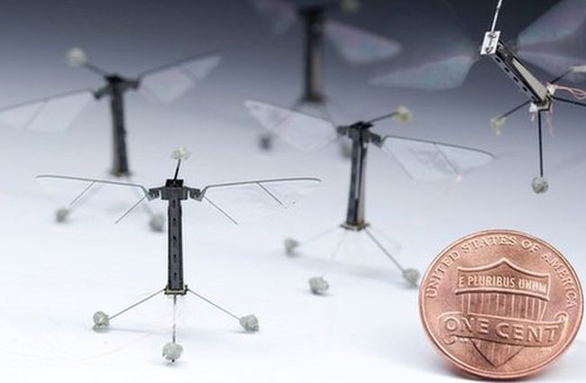 Robo-Fly