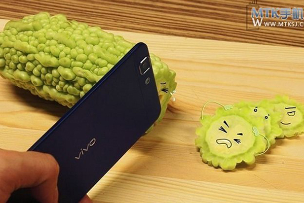 Vivo X3