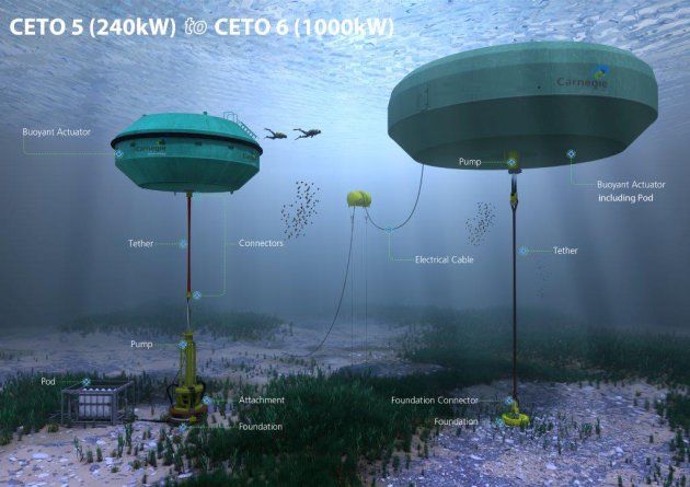 carnegie-ceto-6