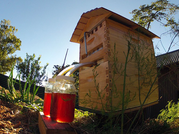 Flow Hive