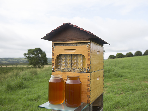 Flow Hive