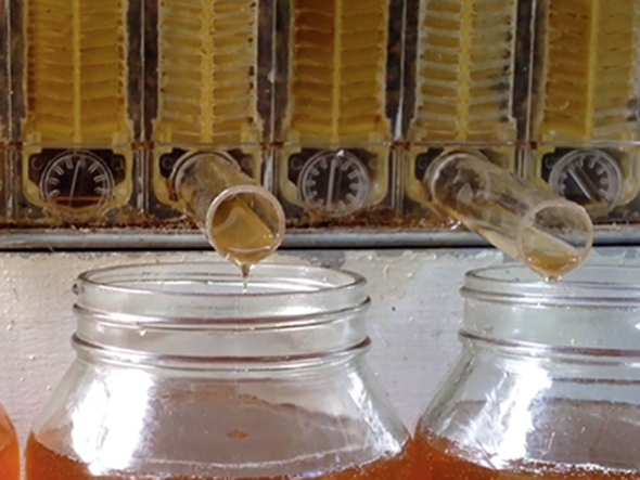 Flow Hive