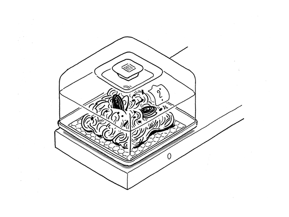 Ikea Concept Kitchen 2025