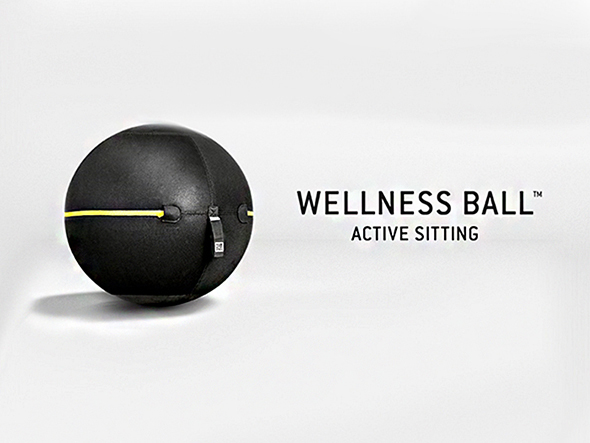 Wellness Ball