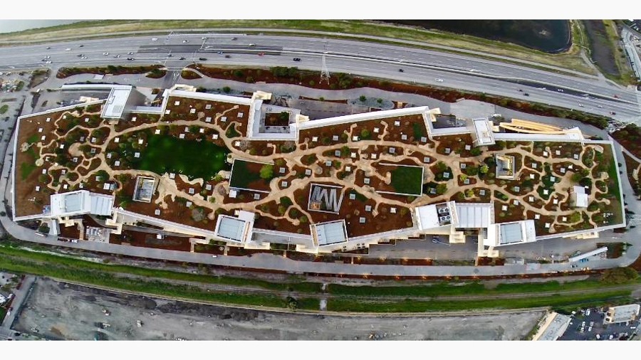 Facebook Campus