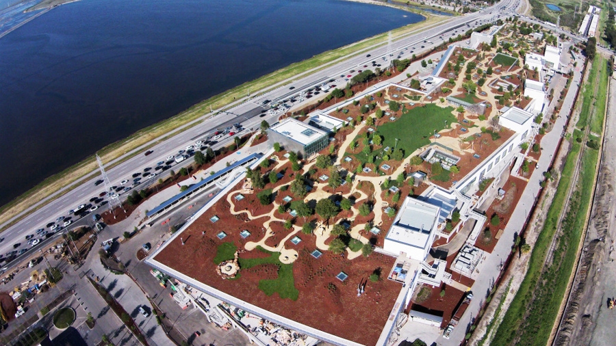 Facebook Campus