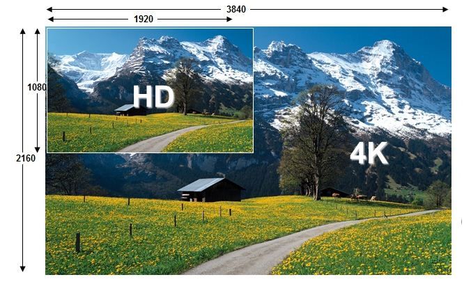 JVC GY-HMQ10