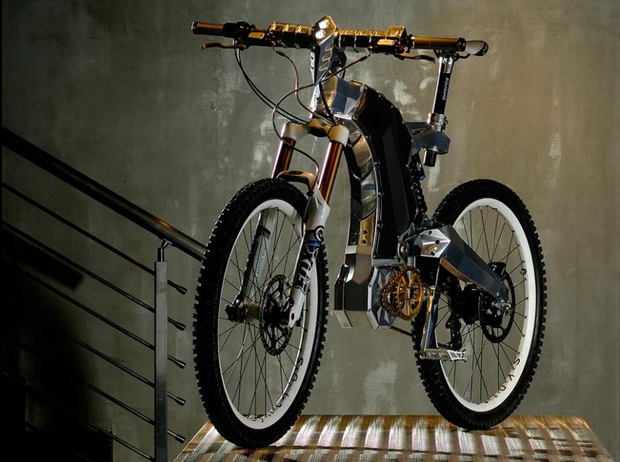 M55 Beast Bike