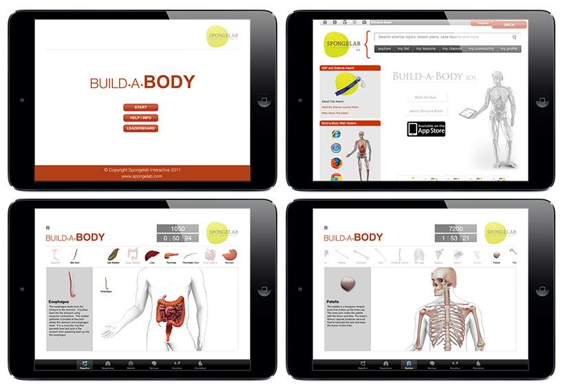 Build a Body