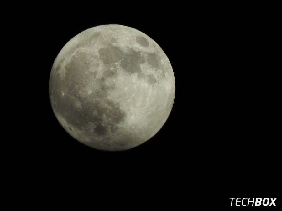 Nikon COOLPIX P900