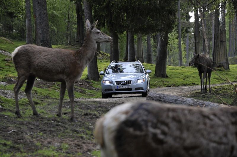 Volvo Car Corporation