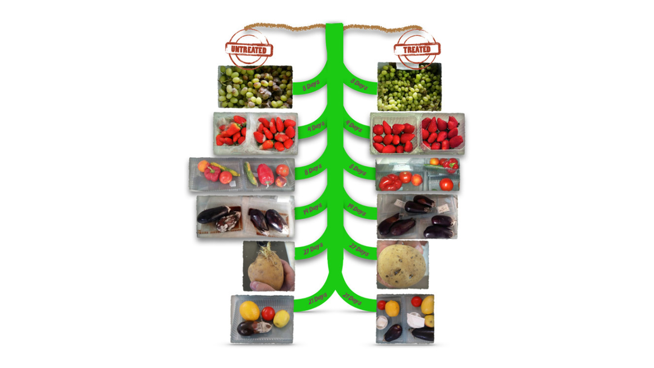 Food Protector