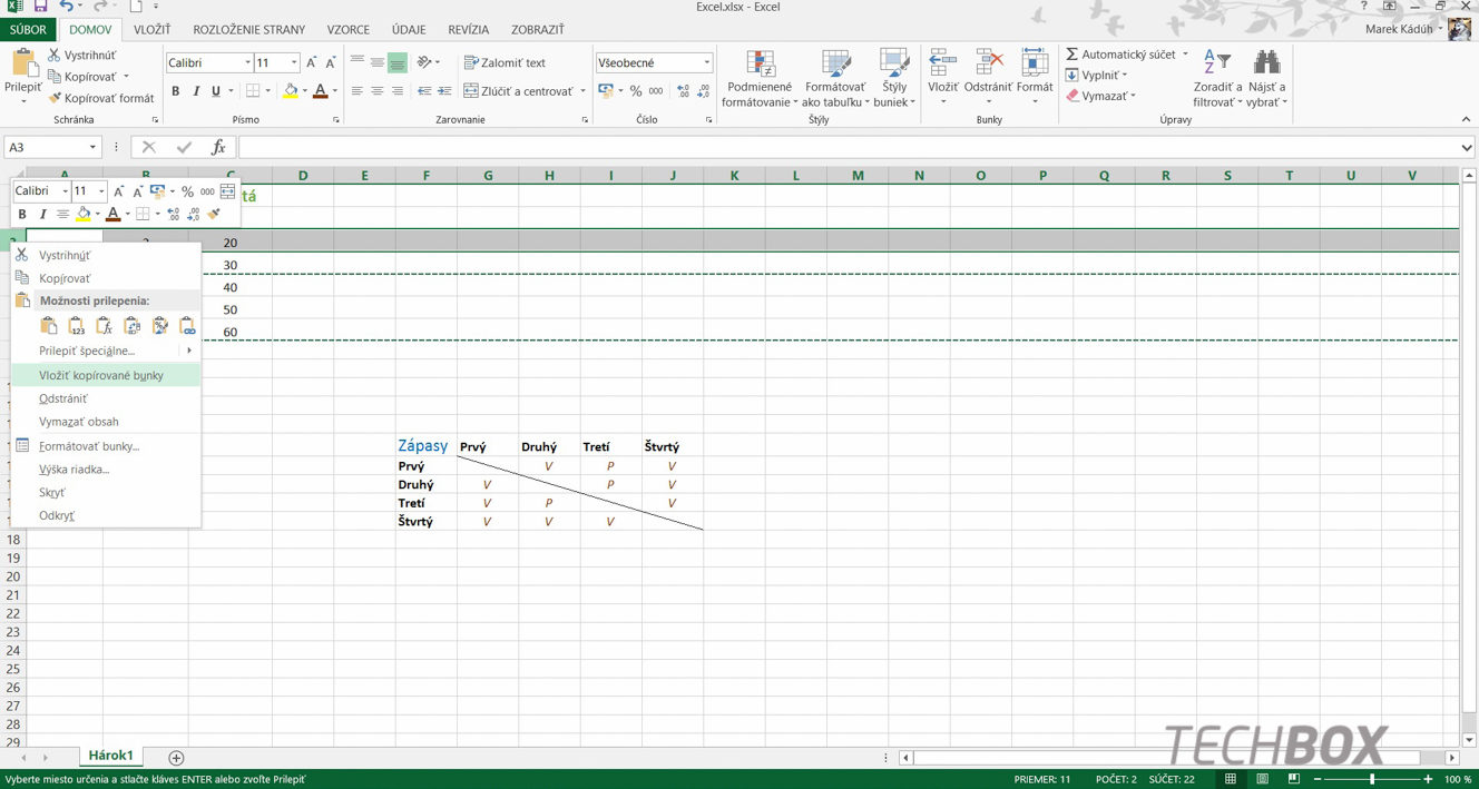 Microsoft Excel