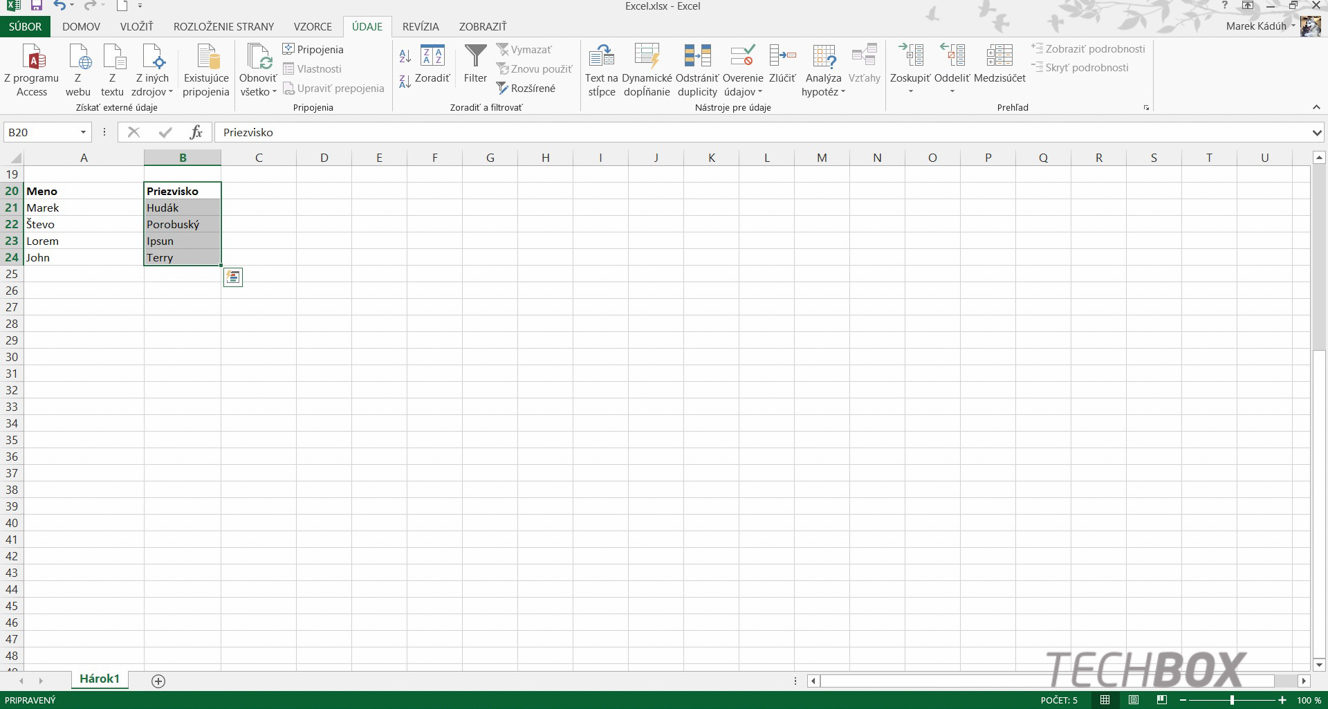 Microsoft Excel