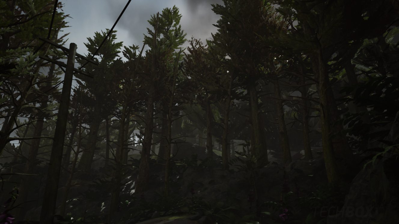 What Remains of Edith Finch