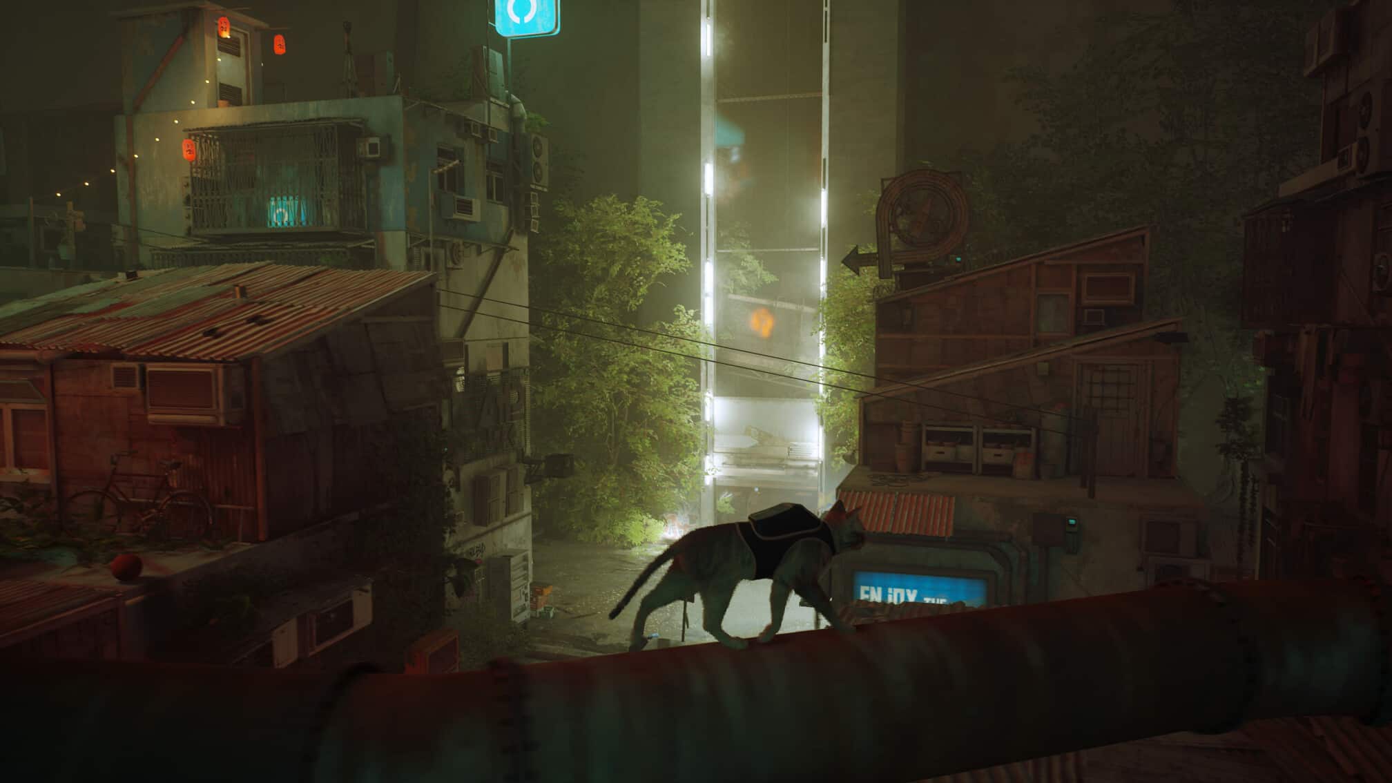 videohra stray
