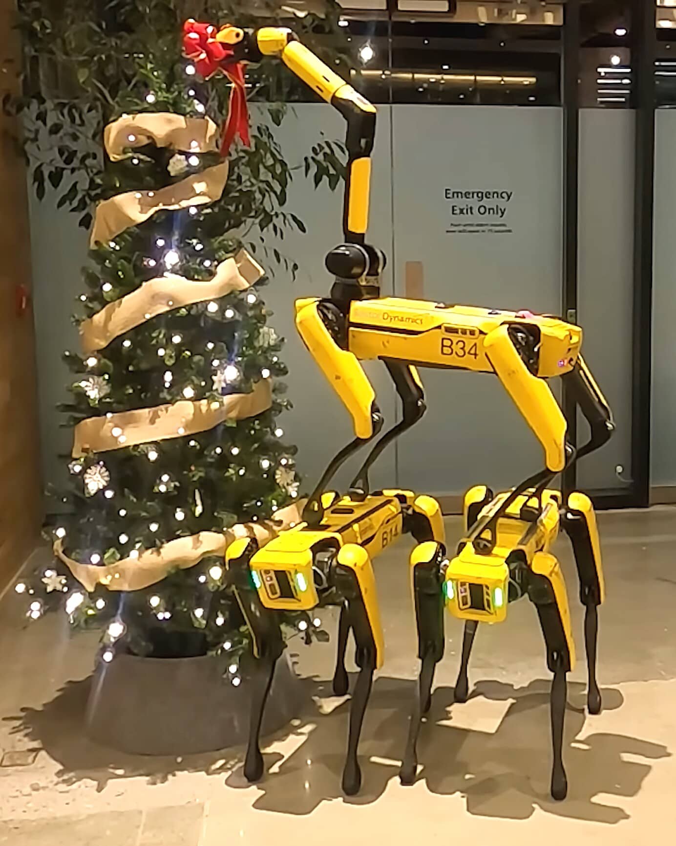 Robotické psy Spot posielajú vianočný pozdrav s prekvapením na záver